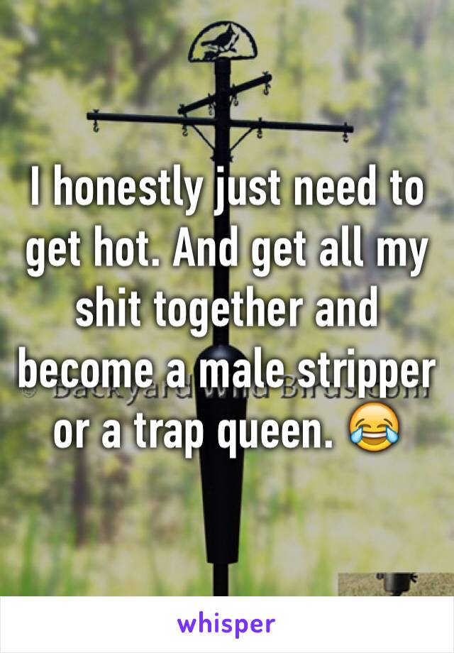 I honestly just need to get hot. And get all my shit together and become a male stripper or a trap queen. 😂