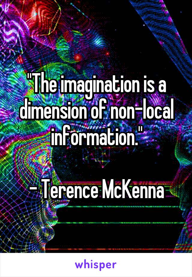 "The imagination is a dimension of non-local information."

- Terence McKenna
