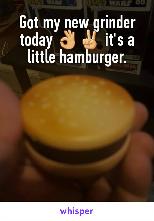 Got my new grinder today 👌✌ it's a little hamburger.