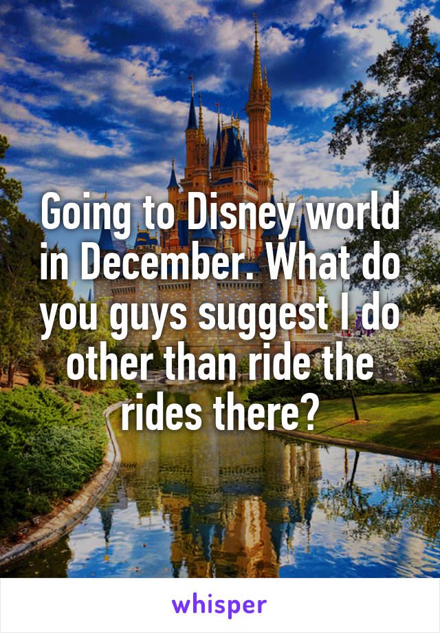Going to Disney world in December. What do you guys suggest I do other than ride the rides there?