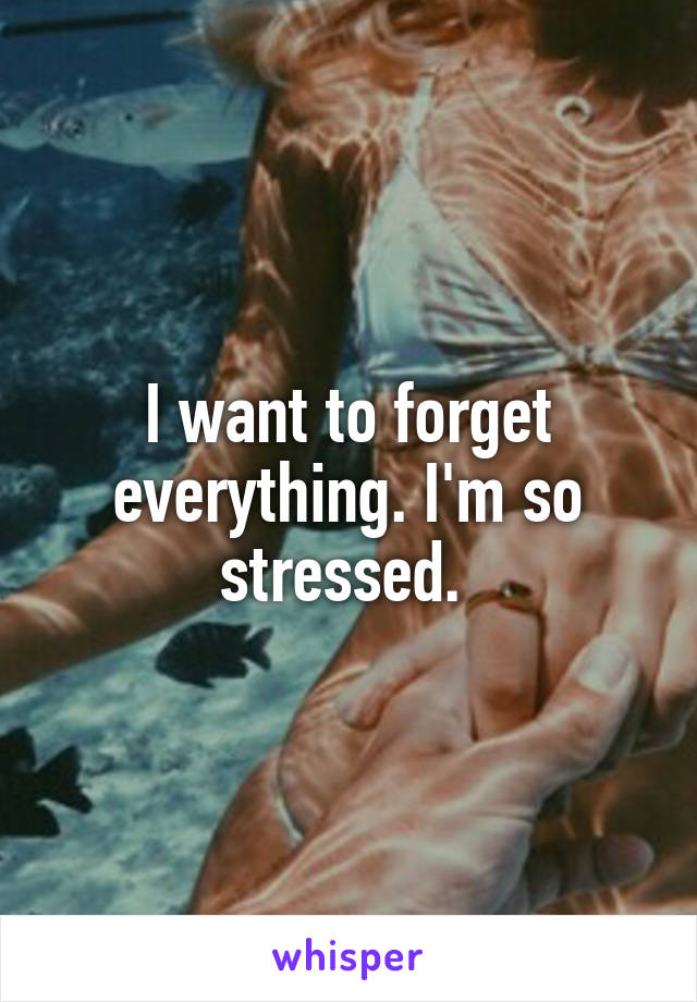 I want to forget everything. I'm so stressed. 
