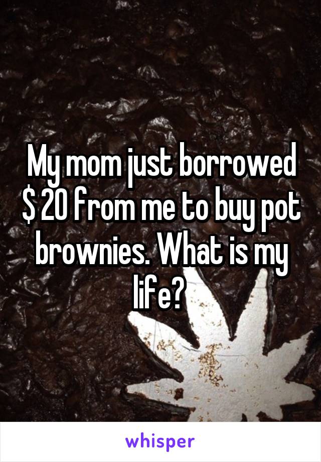 My mom just borrowed $ 20 from me to buy pot brownies. What is my life? 
