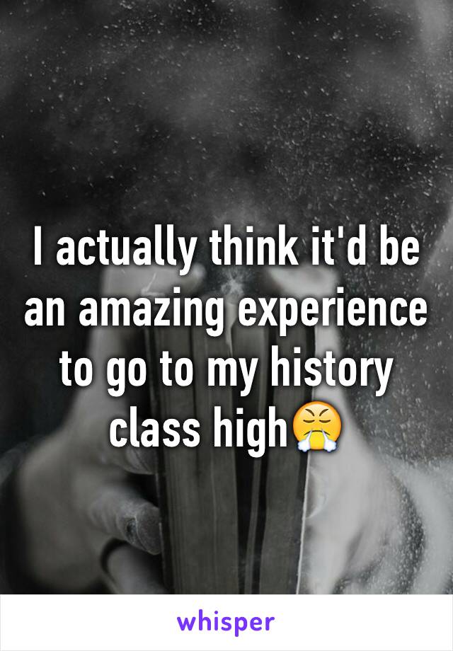 I actually think it'd be an amazing experience to go to my history class high😤