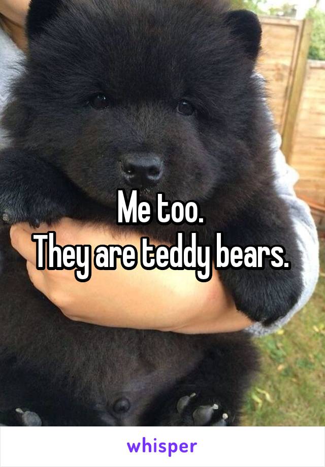 Me too. 
They are teddy bears. 