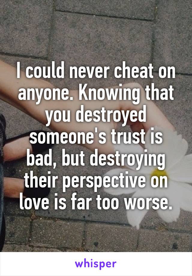 I could never cheat on anyone. Knowing that you destroyed someone's trust is bad, but destroying their perspective on love is far too worse.