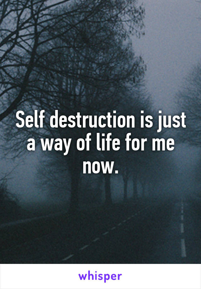 Self destruction is just a way of life for me now.