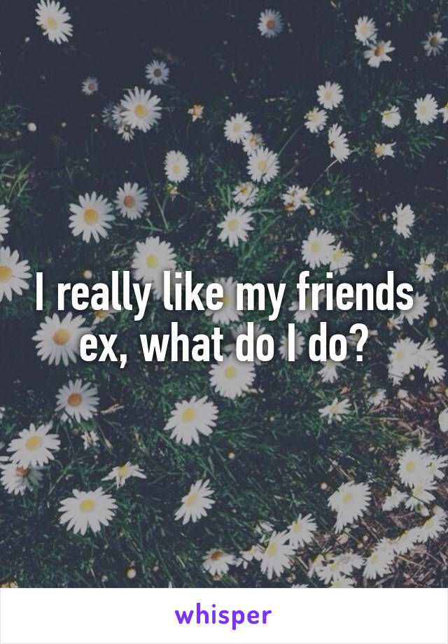 I really like my friends ex, what do I do?