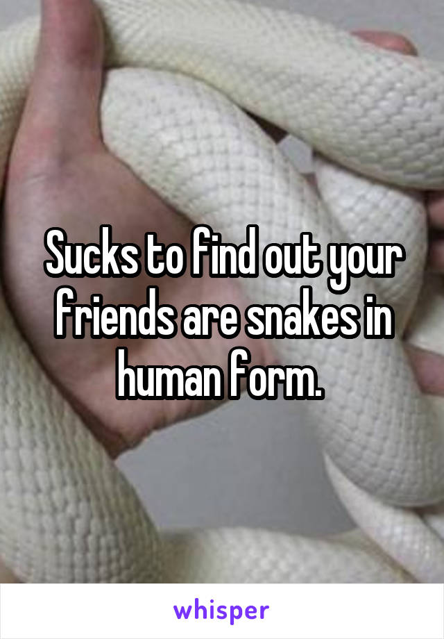 Sucks to find out your friends are snakes in human form. 