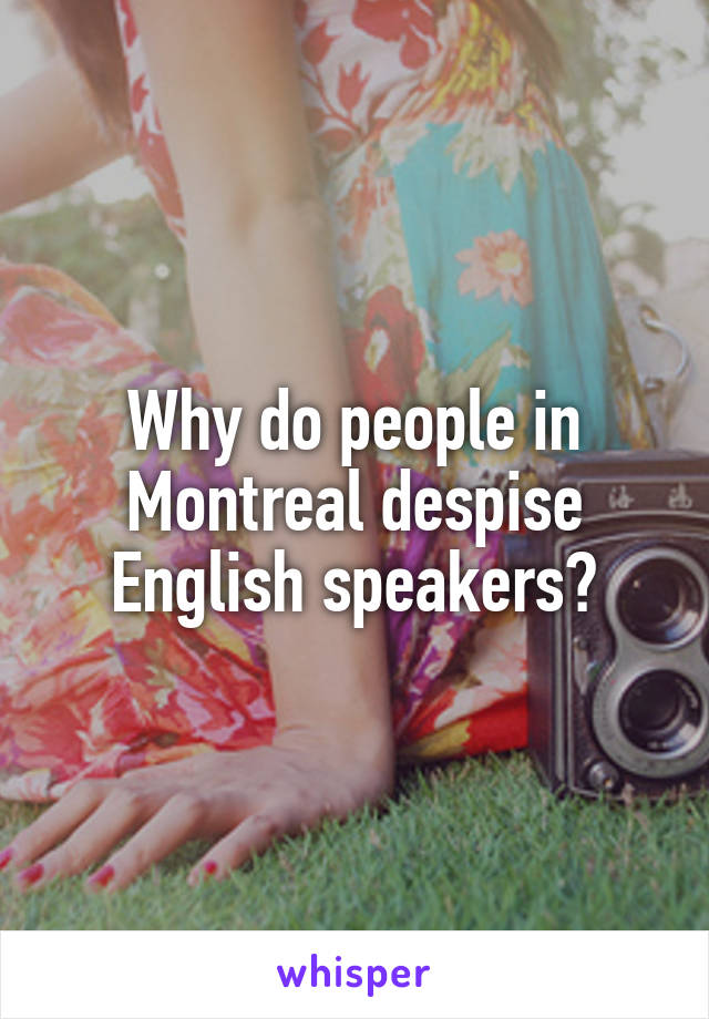 Why do people in Montreal despise English speakers?