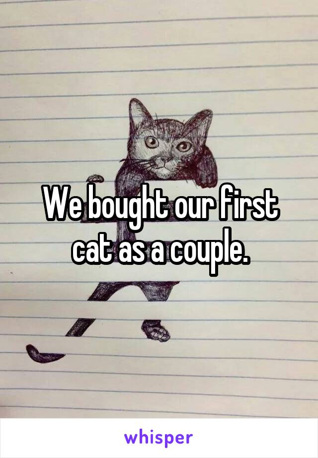 We bought our first cat as a couple.