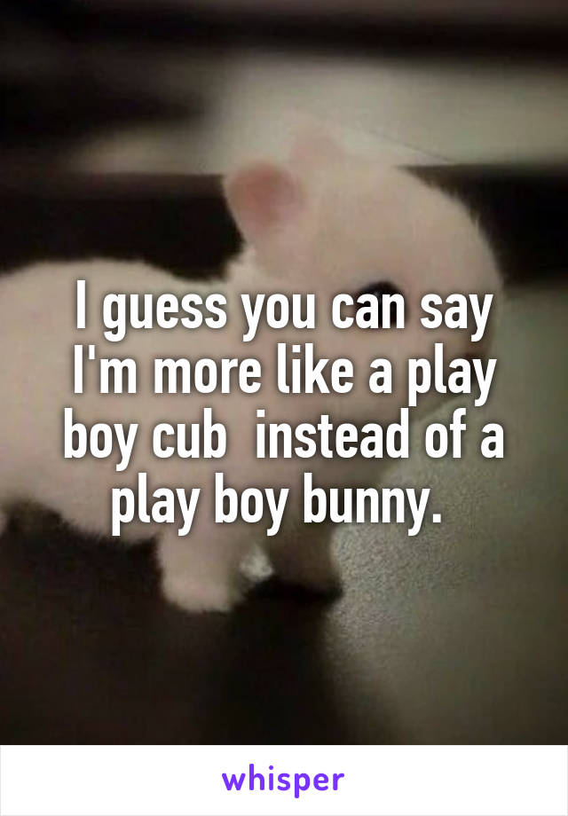 I guess you can say I'm more like a play boy cub  instead of a play boy bunny. 
