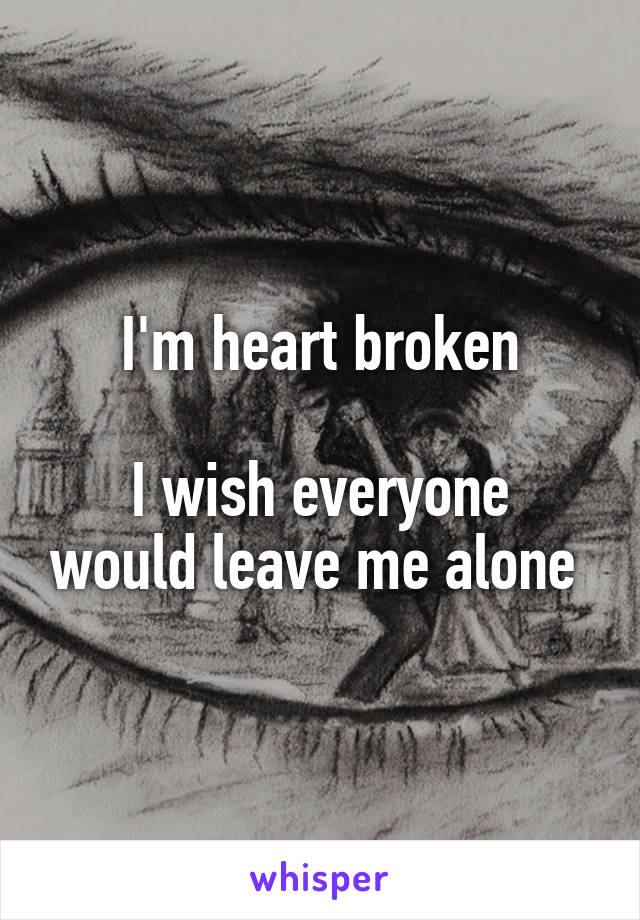 I'm heart broken

I wish everyone would leave me alone 