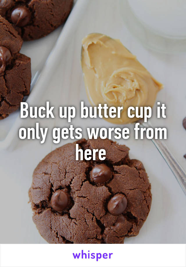 Buck up butter cup it only gets worse from here 
