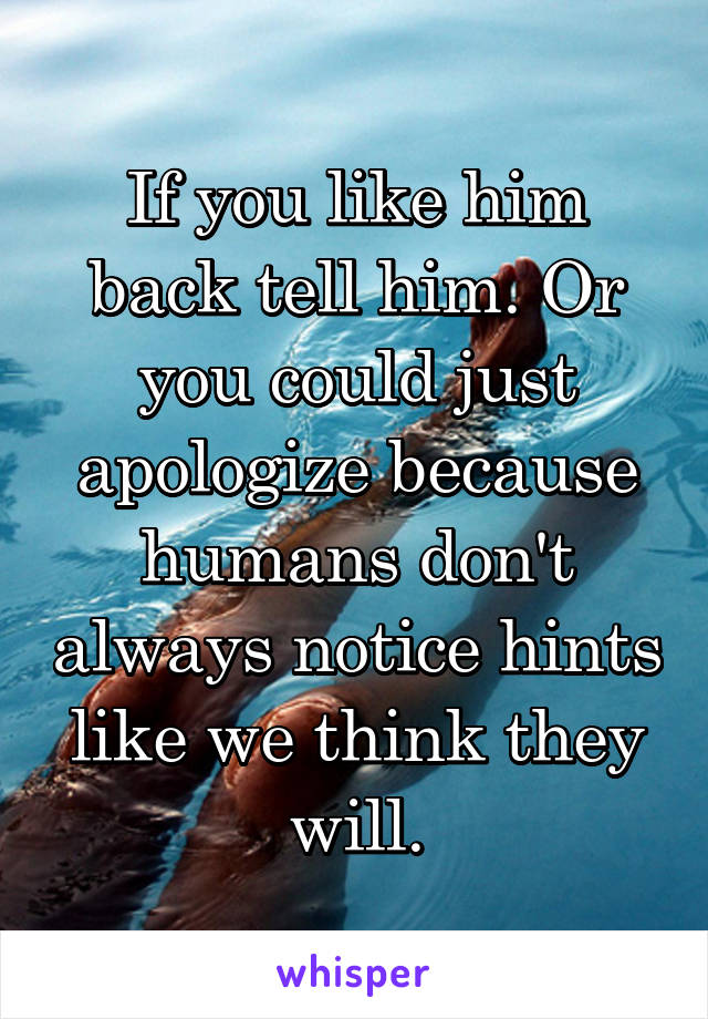 If you like him back tell him. Or you could just apologize because humans don't always notice hints like we think they will.