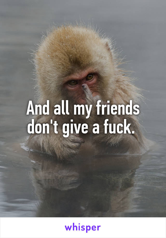 And all my friends don't give a fuck. 