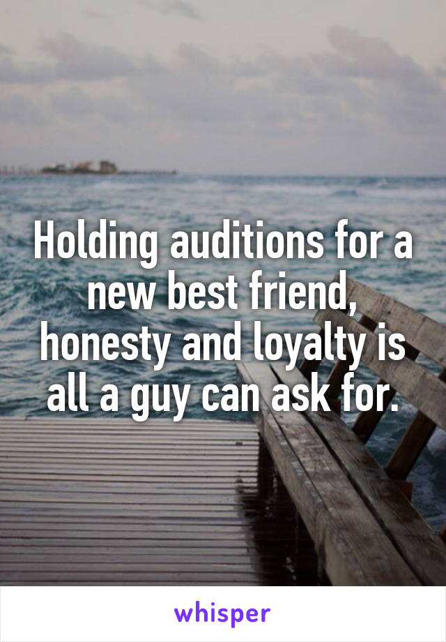 Holding auditions for a new best friend, honesty and loyalty is all a guy can ask for.