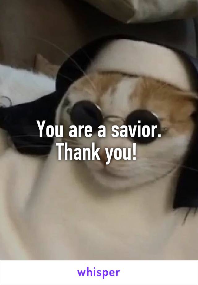 You are a savior. Thank you! 