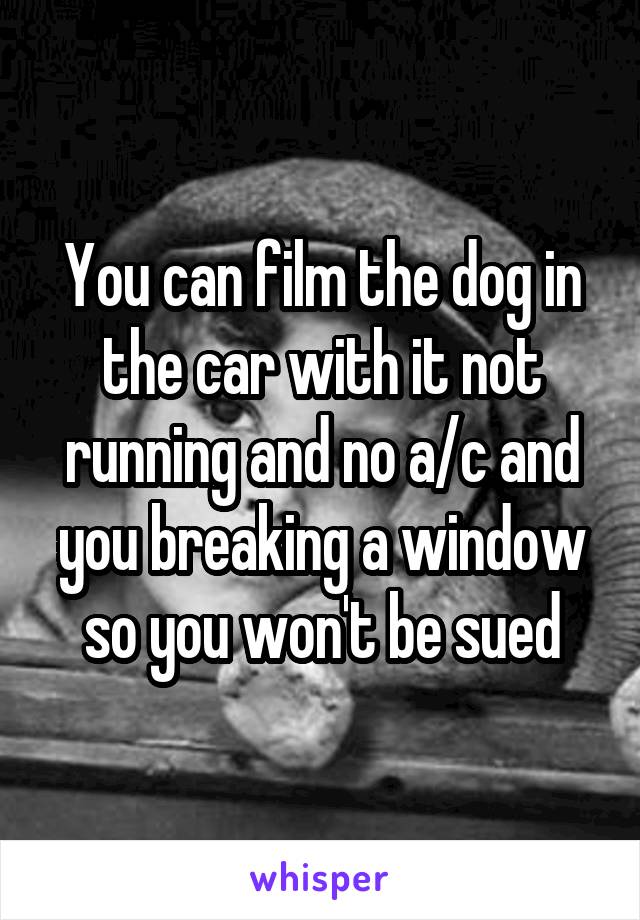You can film the dog in the car with it not running and no a/c and you breaking a window so you won't be sued