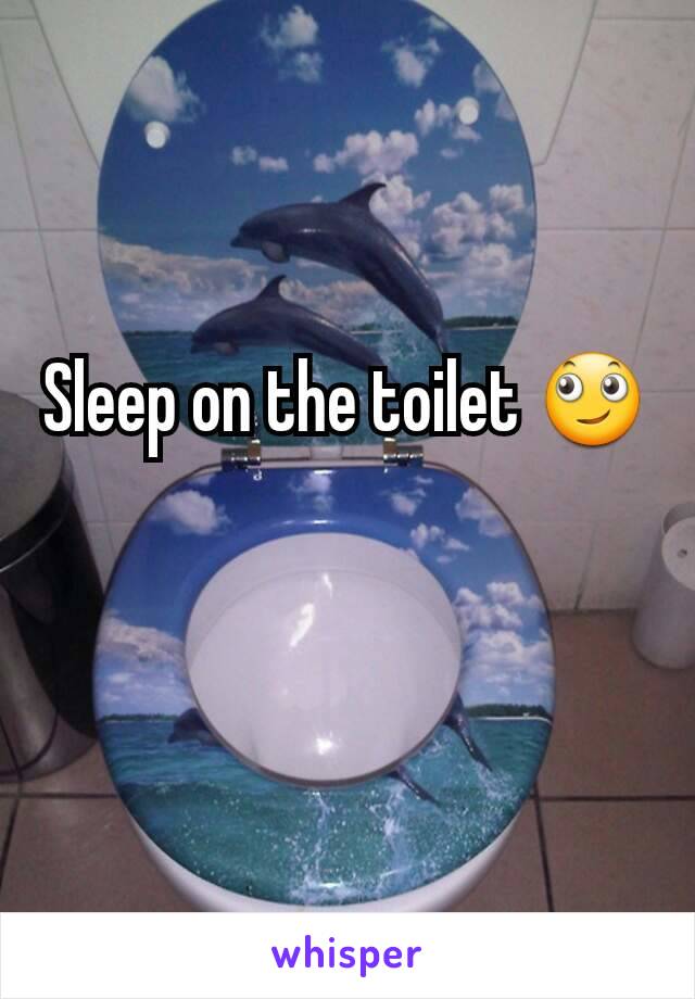 Sleep on the toilet 🙄