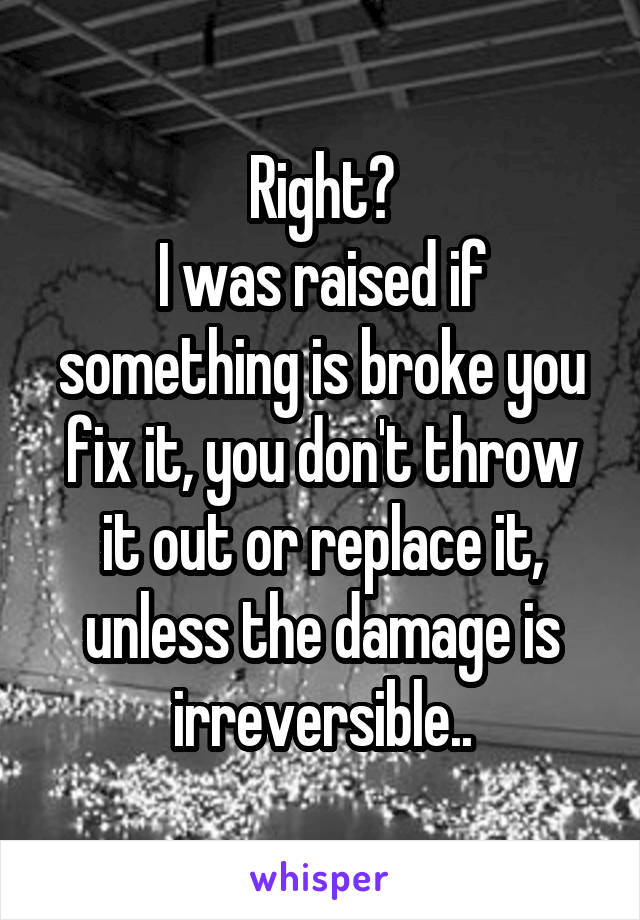 Right?
I was raised if something is broke you fix it, you don't throw it out or replace it, unless the damage is irreversible..