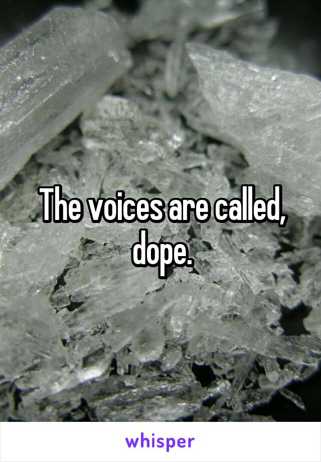 The voices are called, dope.