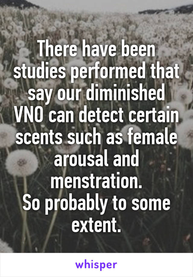 There have been studies performed that say our diminished VNO can detect certain scents such as female arousal and menstration.
So probably to some extent.