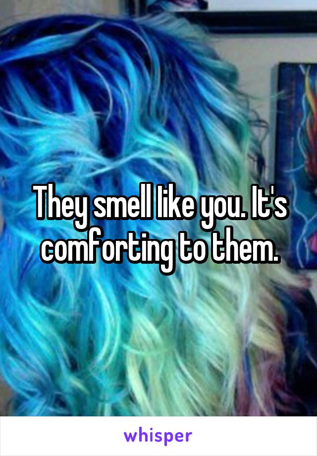 They smell Iike you. It's comforting to them.