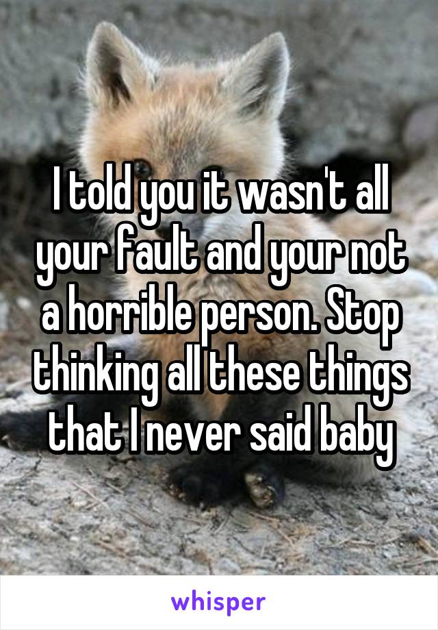 I told you it wasn't all your fault and your not a horrible person. Stop thinking all these things that I never said baby