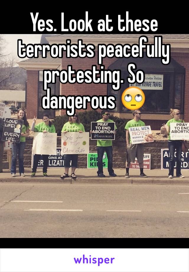 Yes. Look at these terrorists peacefully protesting. So dangerous 🙄





