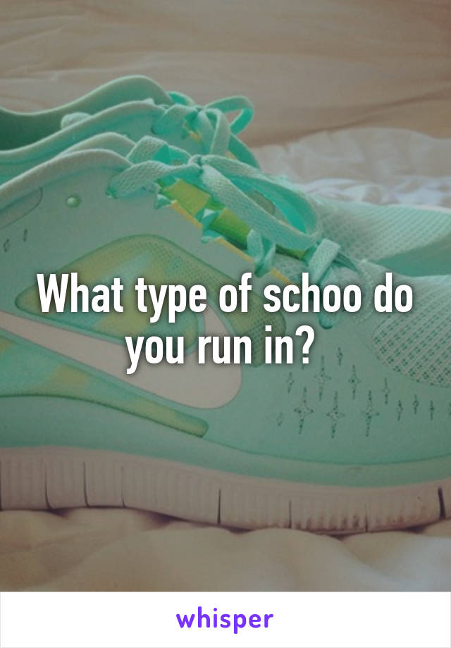 What type of schoo do you run in? 