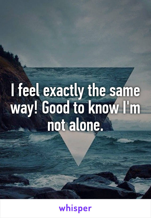 I feel exactly the same way! Good to know I'm not alone.