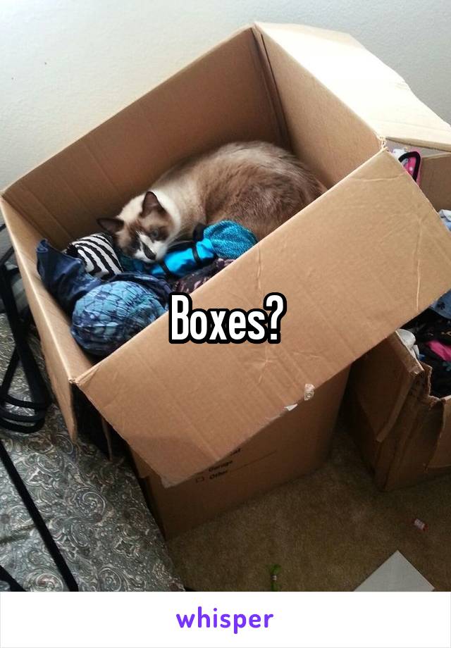 Boxes?