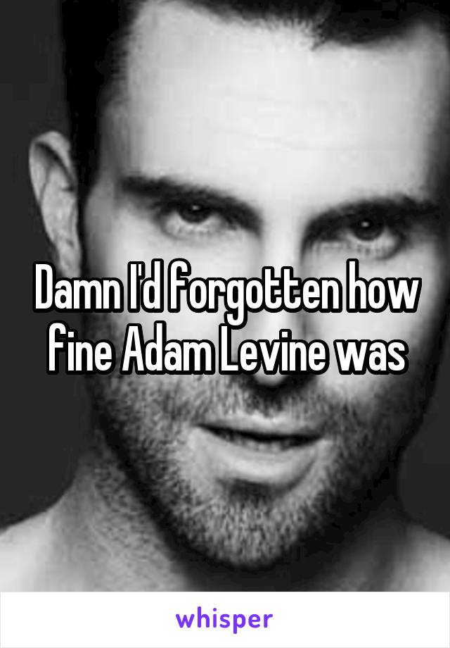 Damn I'd forgotten how fine Adam Levine was