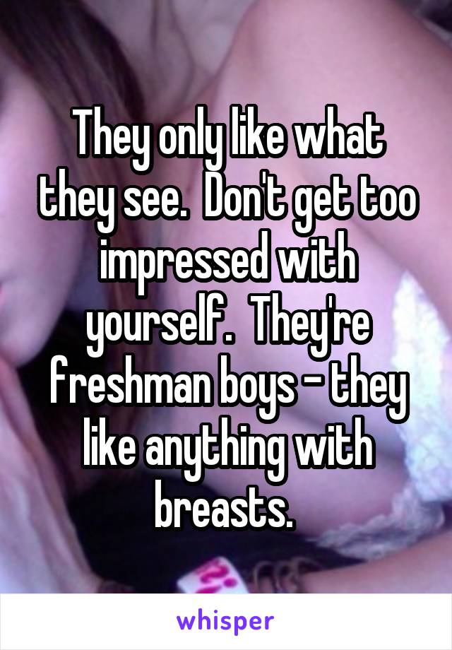 They only like what they see.  Don't get too impressed with yourself.  They're freshman boys - they like anything with breasts. 