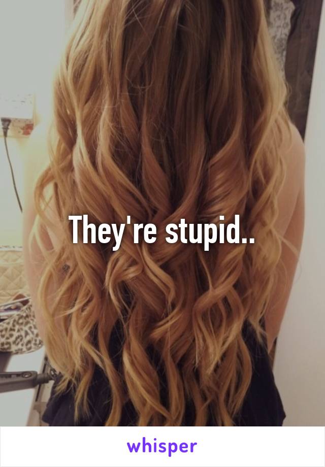 They're stupid..