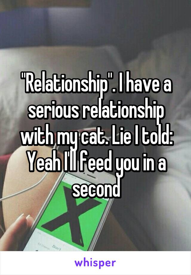 "Relationship". I have a serious relationship with my cat. Lie I told: Yeah I'll feed you in a second