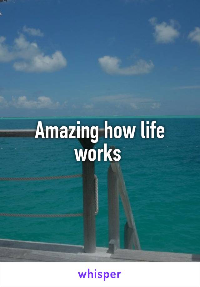 Amazing how life works 