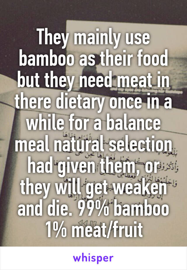 They mainly use bamboo as their food but they need meat in there dietary once in a while for a balance meal natural selection had given them, or they will get weaken and die. 99% bamboo 1% meat/fruit