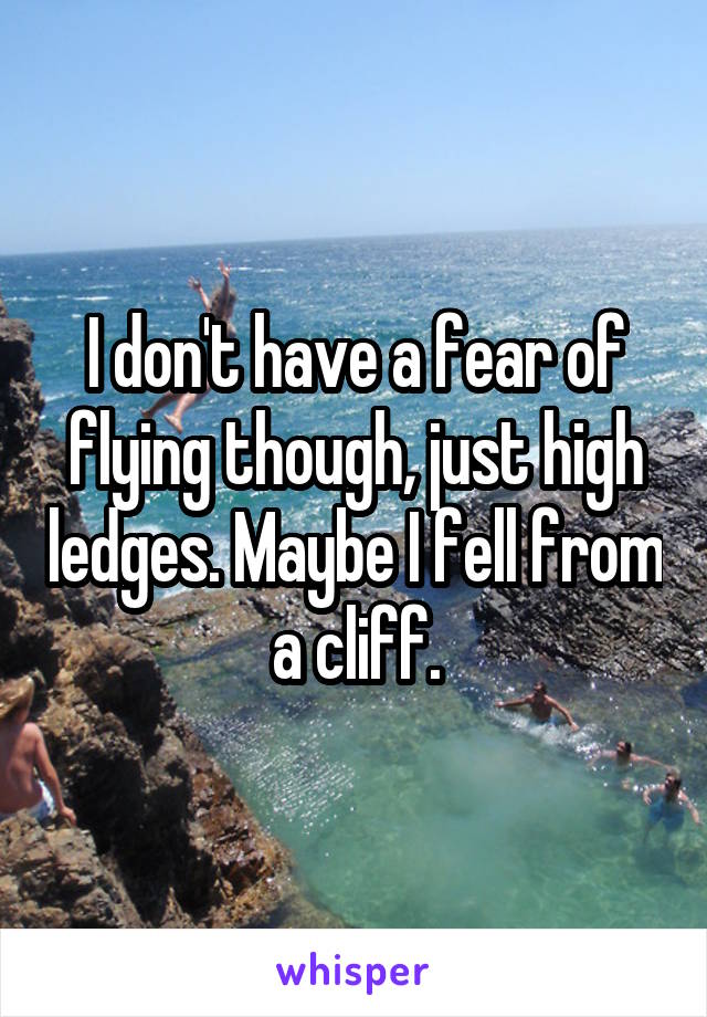 I don't have a fear of flying though, just high ledges. Maybe I fell from a cliff.