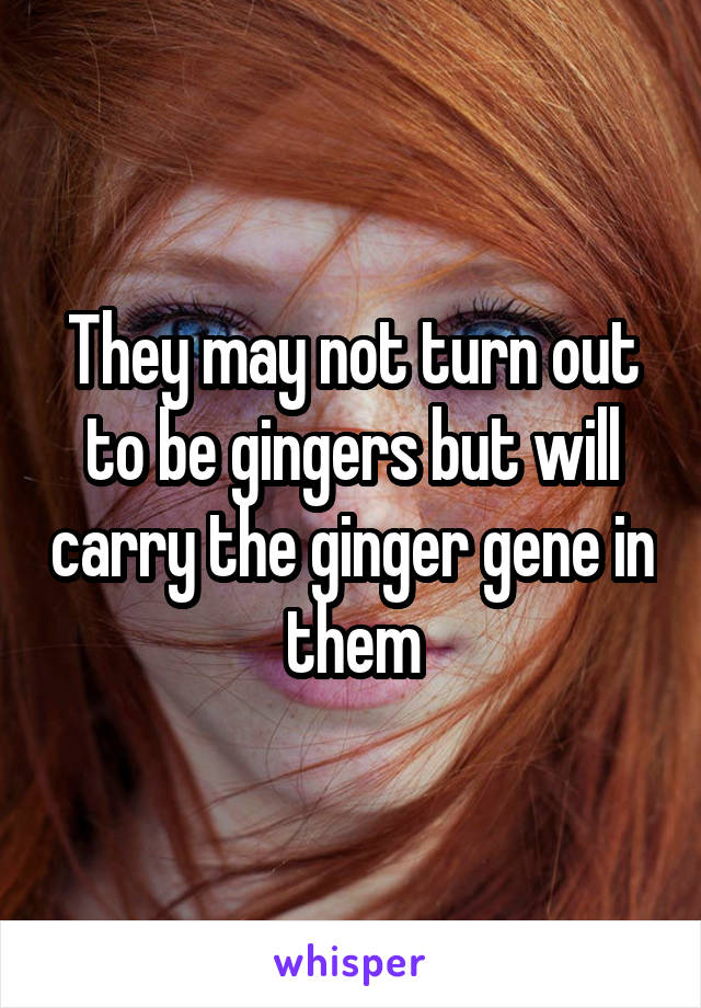 They may not turn out to be gingers but will carry the ginger gene in them