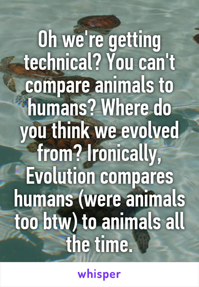 Oh we're getting technical? You can't compare animals to humans? Where do you think we evolved from? Ironically, Evolution compares humans (were animals too btw) to animals all the time.