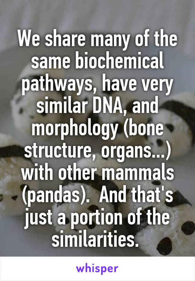 We share many of the same biochemical pathways, have very similar DNA, and morphology (bone structure, organs...) with other mammals (pandas).  And that's just a portion of the similarities. 