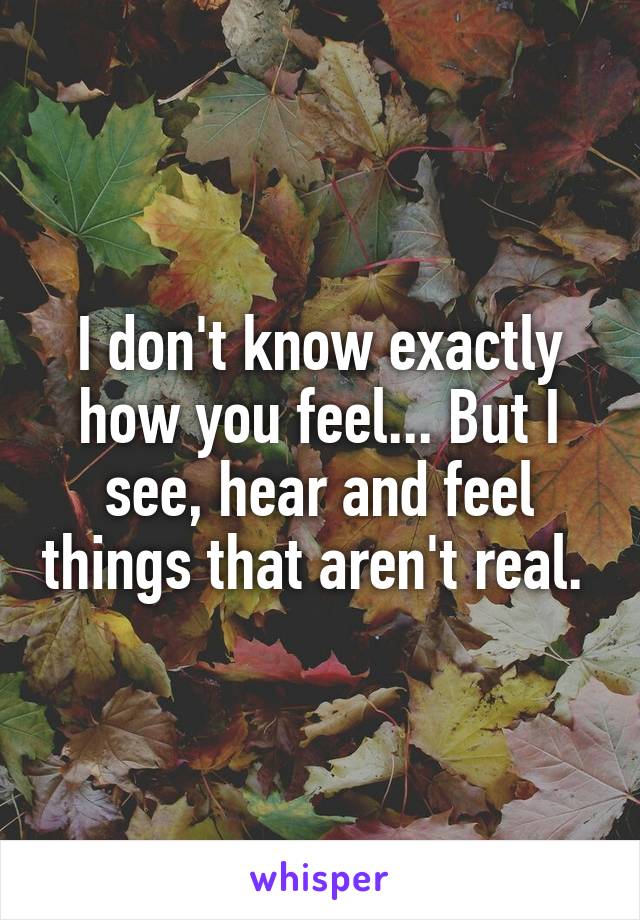 I don't know exactly how you feel... But I see, hear and feel things that aren't real. 