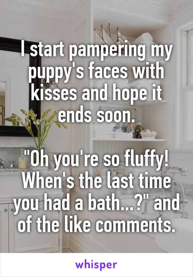 I start pampering my puppy's faces with kisses and hope it ends soon.

"Oh you're so fluffy! When's the last time you had a bath...?" and of the like comments.