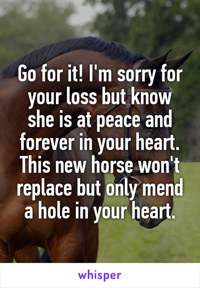 Go for it! I'm sorry for your loss but know she is at peace and forever in your heart. This new horse won't replace but only mend a hole in your heart.