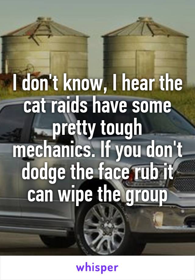 I don't know, I hear the cat raids have some pretty tough mechanics. If you don't dodge the face rub it can wipe the group