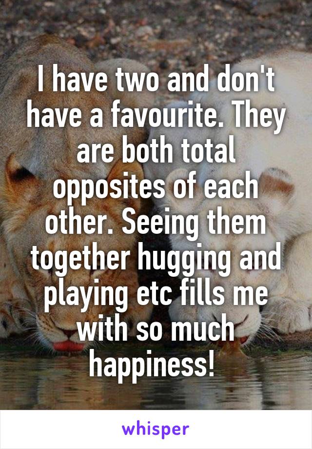 I have two and don't have a favourite. They are both total opposites of each other. Seeing them together hugging and playing etc fills me with so much happiness! 