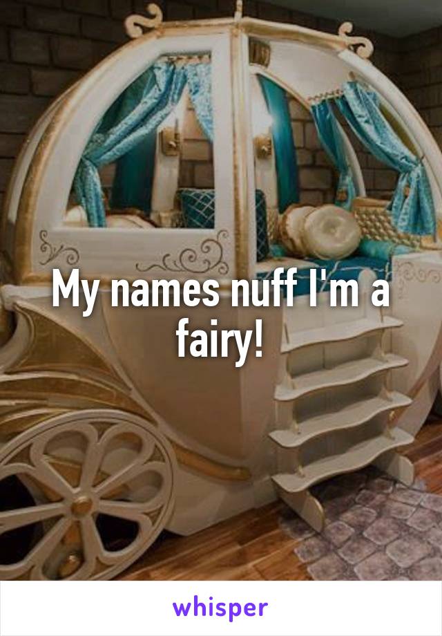 My names nuff I'm a fairy!