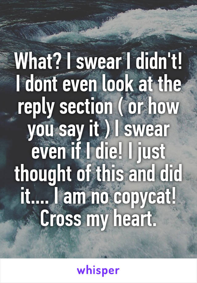 What? I swear I didn't! I dont even look at the reply section ( or how you say it ) I swear even if I die! I just thought of this and did it.... I am no copycat! Cross my heart.