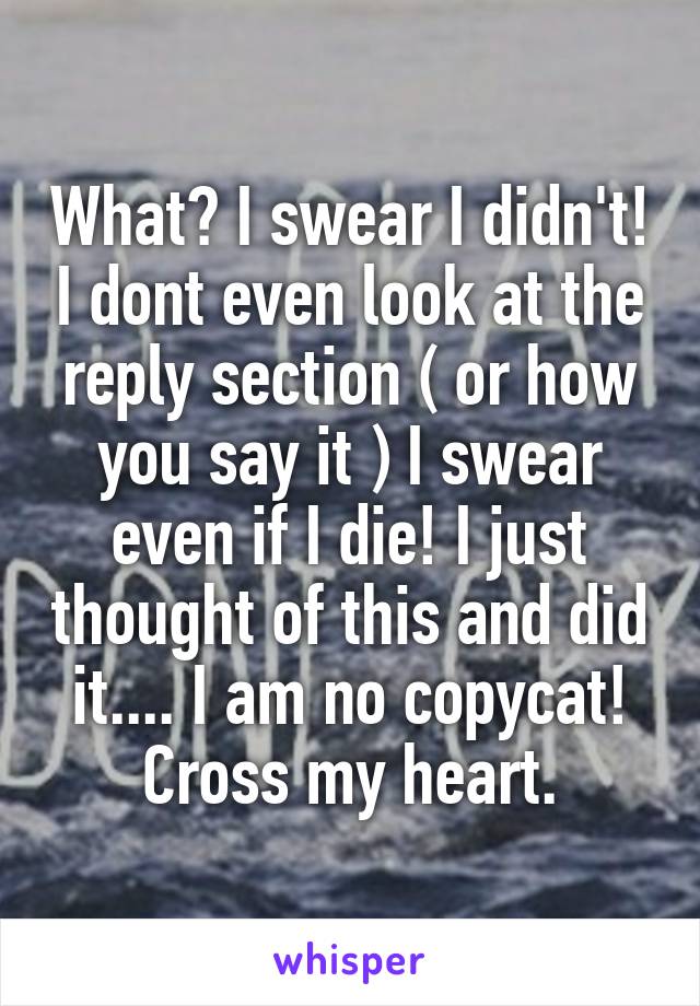 What? I swear I didn't! I dont even look at the reply section ( or how you say it ) I swear even if I die! I just thought of this and did it.... I am no copycat! Cross my heart.